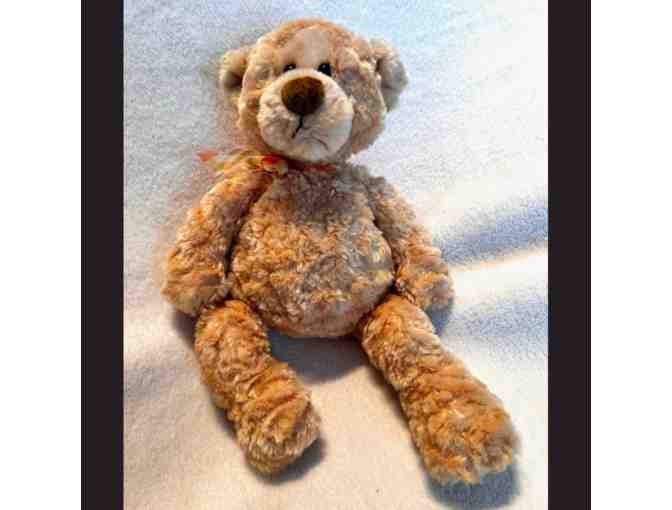 Vintage Teddy Bear book and accompanying Teddy Bear