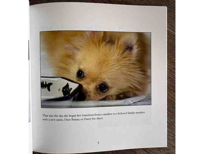 DUSTY: Adventures of a Puppy Mill Survivor