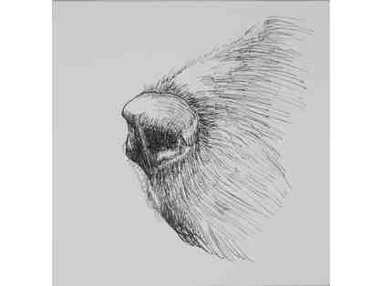 Ink Drawing 