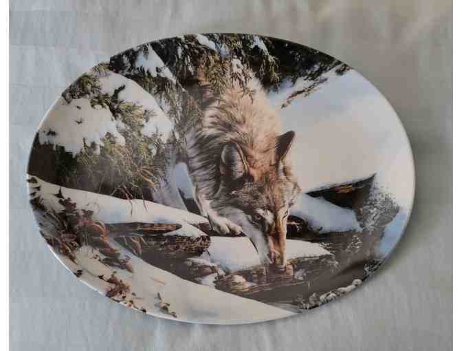 Wolf collector plates