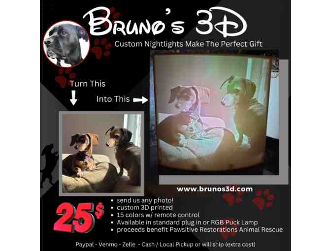 Custom Lithophane & Ornament #1