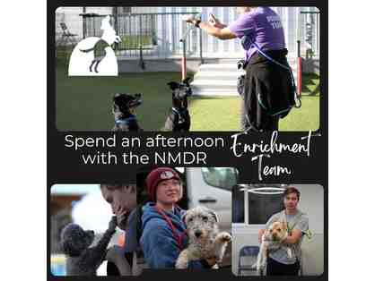 Behind the Healing! A Private Experience with NMDR Enrichment Team