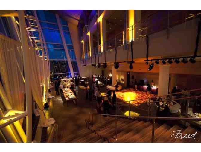 A Night Among the Stars