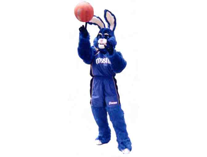 The Suite Life with the Washington Mystics