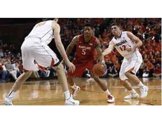 Tom and the Terrapins