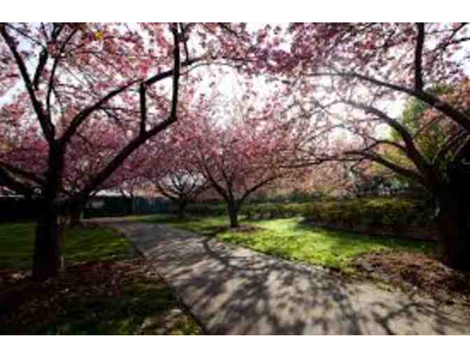 4 Guest Passes to the Brooklyn Botanic Gardens
