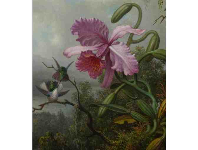 Peabody Essex Museum, Salem MA - Four General Admission Tickets