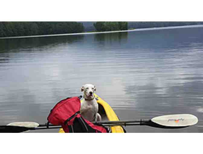 The Paw House Inn and Country Cottages, West Rutland VT - $100 Gift Certificate