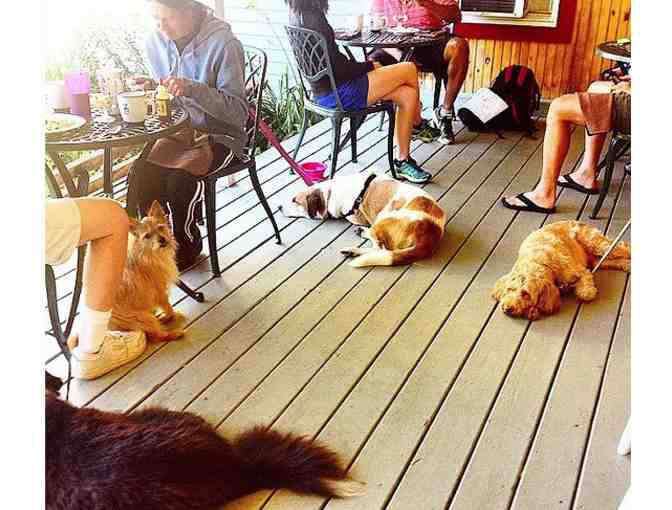 The Paw House Inn and Country Cottages, West Rutland VT - $100 Gift Certificate