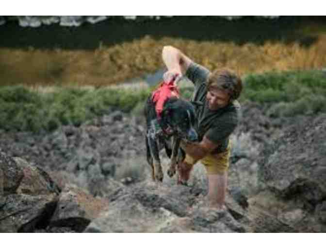 Ruffwear 'Web Master' Dog Harness, Red, Size S