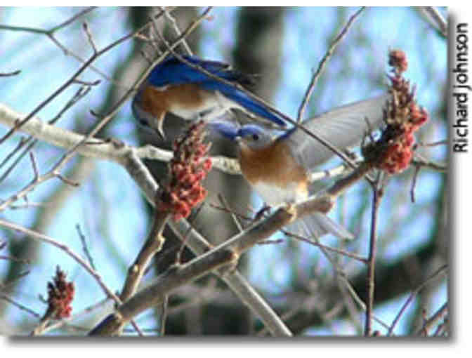 Mass Audubon - One Year Family Membership