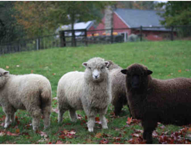 Mass Audubon - One Year Family Membership