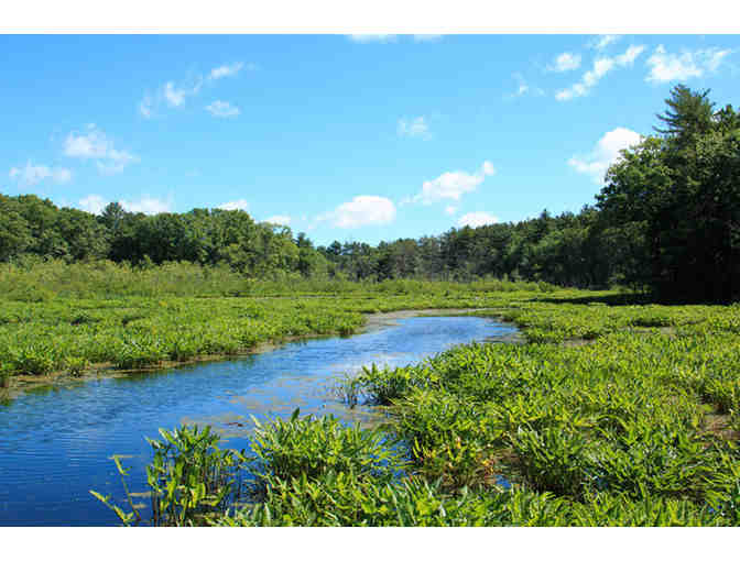 Mass Audubon - One Year Family Membership