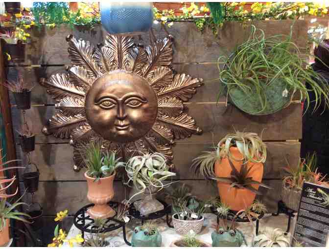 Cataldo's Gift and Garden. Littleton MA - $100 Gift Card