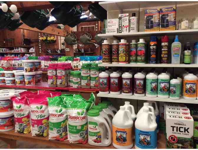 Cataldo's Gift and Garden. Littleton MA - $100 Gift Card