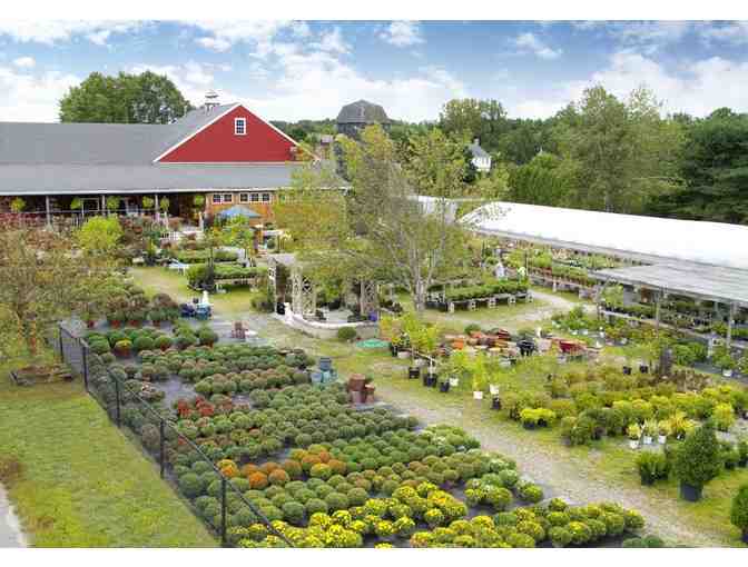 Cataldo's Gift and Garden. Littleton MA - $100 Gift Card