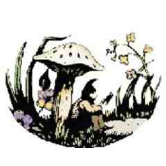 Toadstool Bookshops of New Hampshire