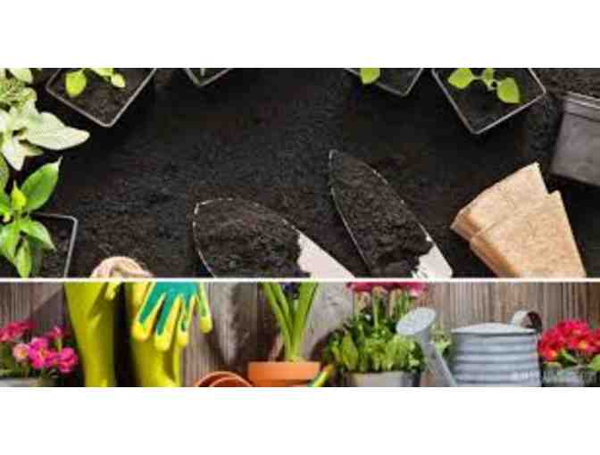 SPECIAL PACKAGES/DIY DINNER- GIFT CARD FOR ACE + 2-YR EDIBLE CAPE COD SUBSCRIPTION