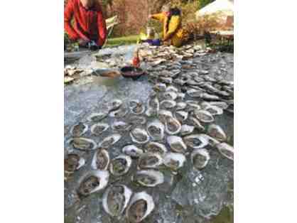 UNIQUE CULINARY EXPERIENCE! -OYSTER TASTING EVENT, 2021 + OYSTER BOOK