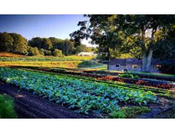 DINING ON CAPE/FARM-TO-TABLE EXPERIENCE - NO LIMIT CG FOR CBI STARS RESTAURANT PLUS.... G