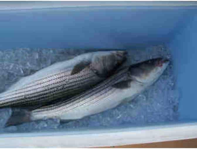 UNIQUE EXPERIENCE/4 HOUR BASS FISHING TRIP!