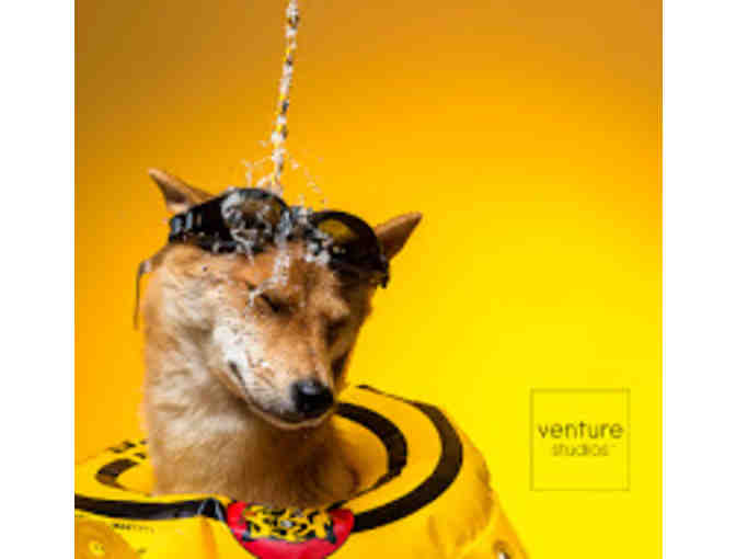 Venture Photography Session in Greenwich