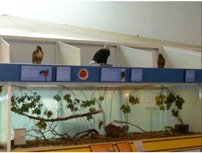 Lindsay Wildlife Experience