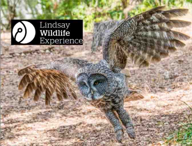 Lindsay Wildlife Experience