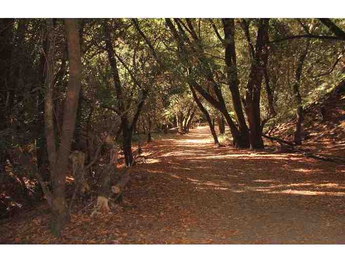 Hidden Villa Season Pass