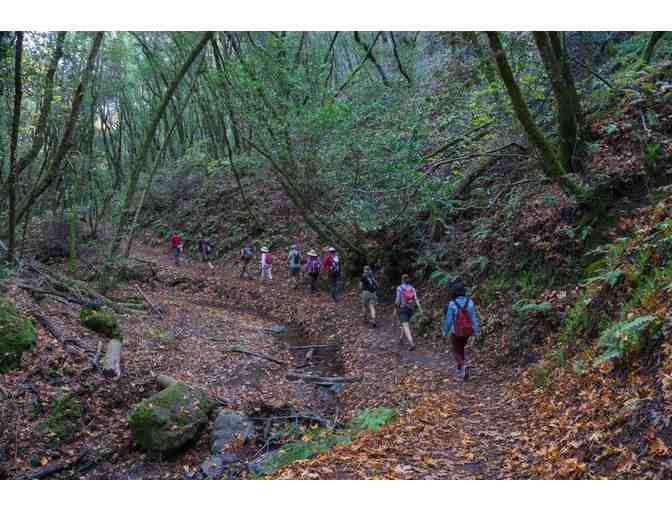 Hidden Villa Season Pass