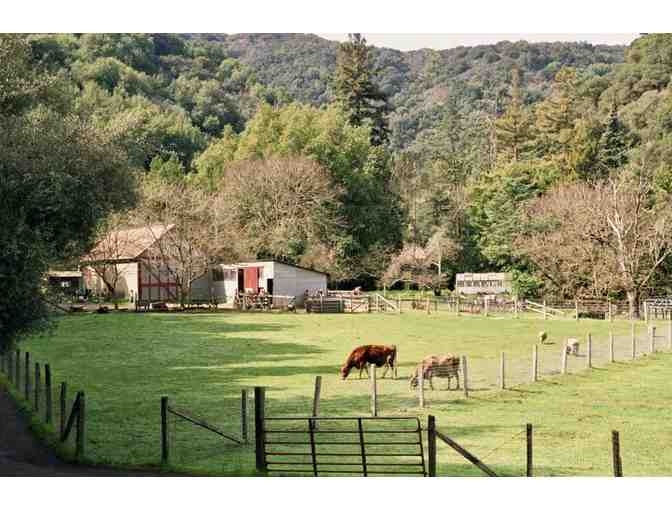 Hidden Villa Season Pass