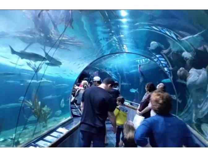 Pier 39 Fun Pack for 2