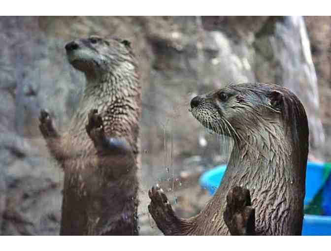 CuriOdyssey Science Playground & Zoo