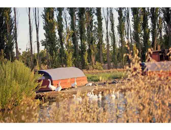 Eatwell Farm - Fresh Produce Deliveries