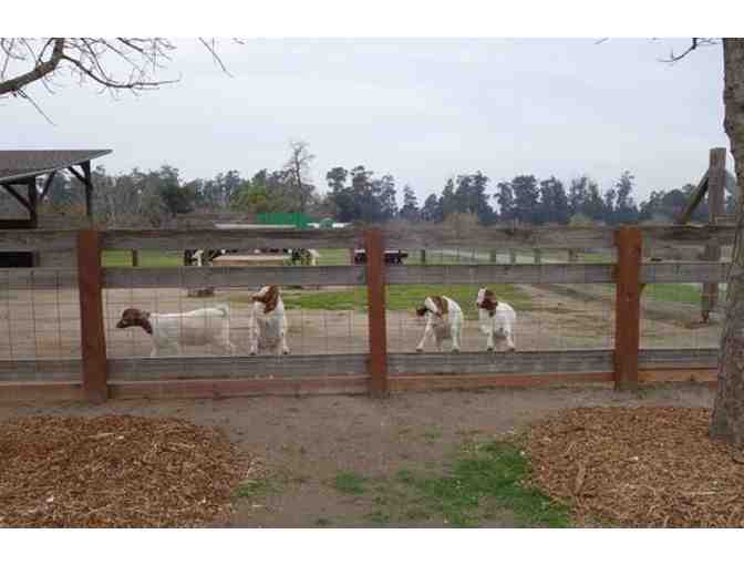 Ardenwood Historic Farm - Family Pass