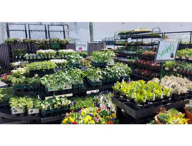 Laurel Ace Hardware - Oakland CA - Gift Card