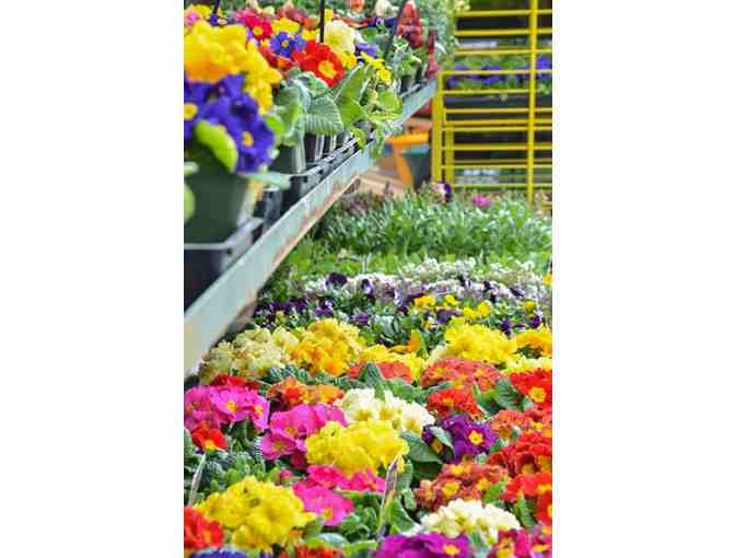 Grand Lake Ace Hardware - Oakland CA - Gift Certificate