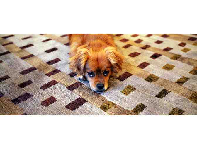 $500 worth of HomeCare Cleaning Service by Fabricare Cleaners.