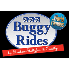 AAA Buggy Rides