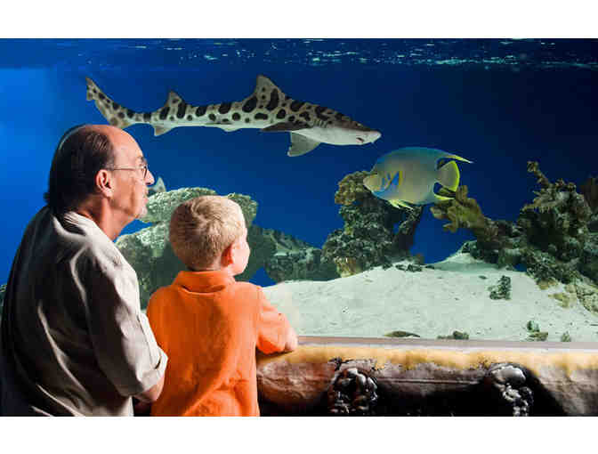 Five (5) Tickets to Take Your Family to See, Touch and Feed at SeaQuest in Folsom, CA