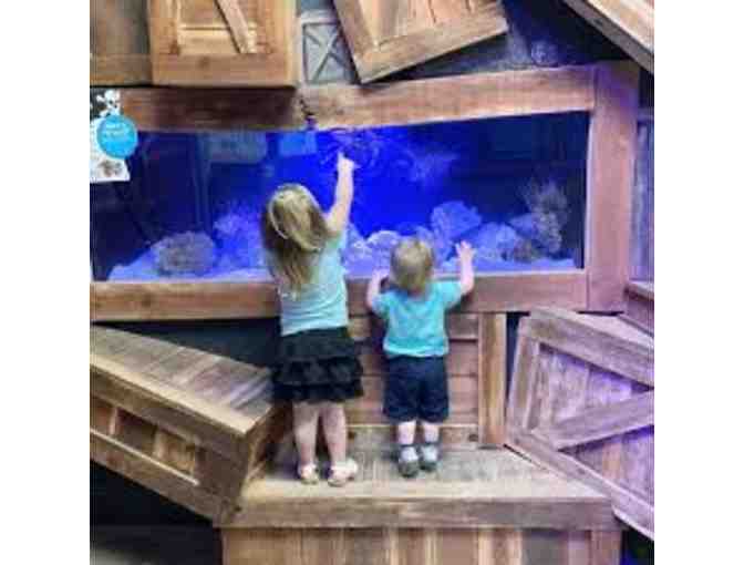 Five (5) Tickets to Take Your Family to See, Touch and Feed at SeaQuest in Folsom, CA