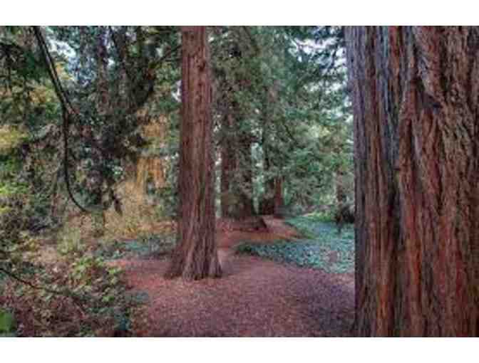 Family/Dual Membership to San Francisco Botanical Garden - Golden Gate Park