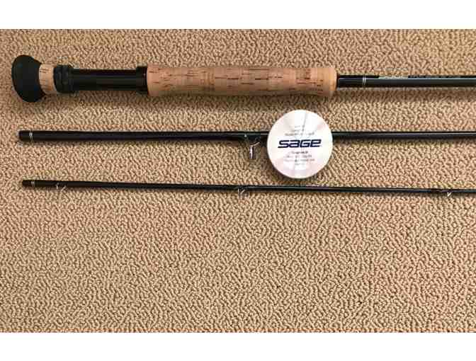 Sage RPLXi 9ft 10wt 3pc rod with sack and tube - excellent condition