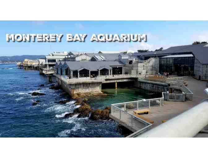 201. Two Night Stay in 'Moonglow Cottage' in Carmel CA