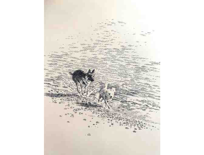 Dog Songs Book of Poetry by Mary Oliver