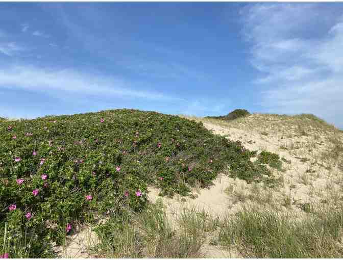 Private Dune Tour for 4