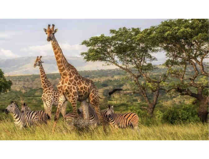 Photo Safari for 2 to South Africa with Zulu Nyala