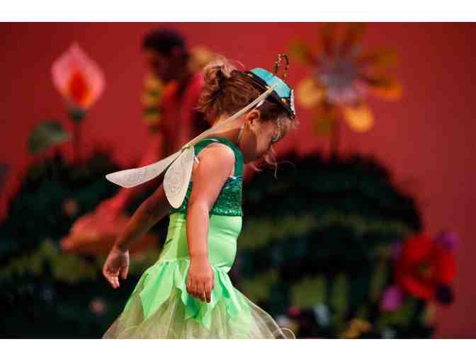 Onyx Studio 2 Rosemary Youth Ballet One Week of Summer Intensive