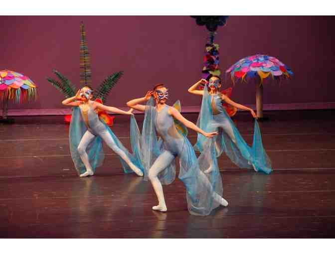 Onyx Studio 2 Rosemary Youth Ballet One Week of Summer Intensive