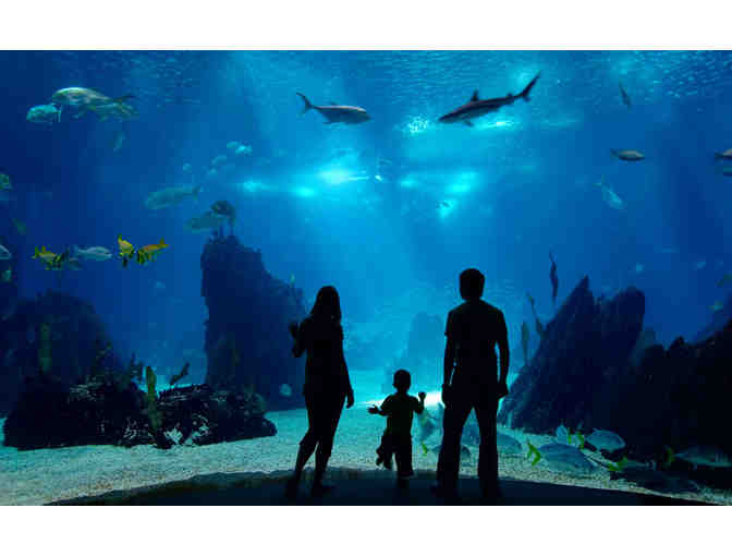 AQUARIUM OF THE PACIFIC - Admission for Two